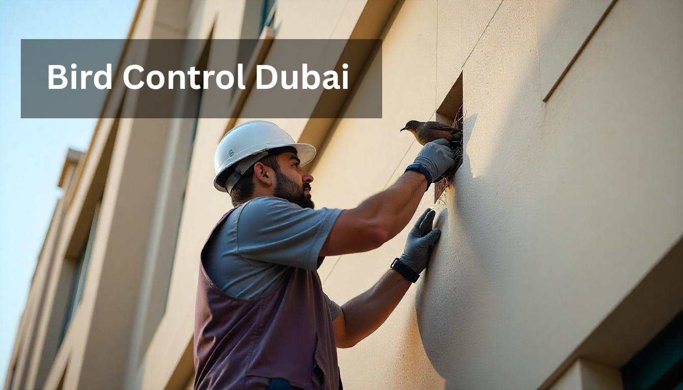 Professional Bird Control Dubai - Al Mandhar Pest Control